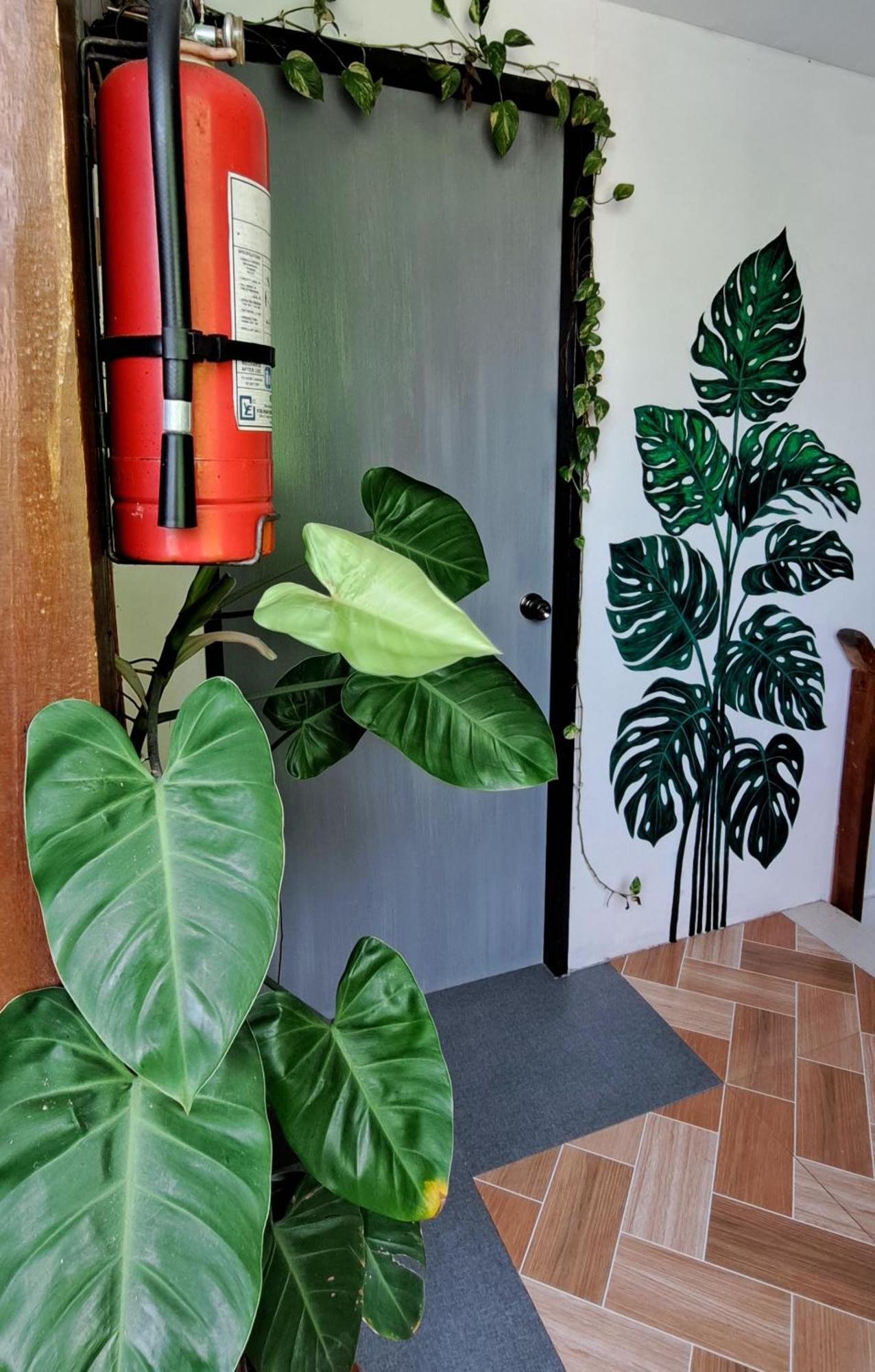 Bougainvillea Guesthouse San Juan  Exteriér fotografie